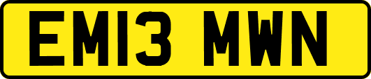 EM13MWN