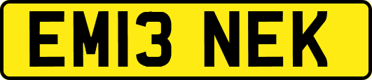 EM13NEK
