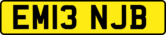 EM13NJB