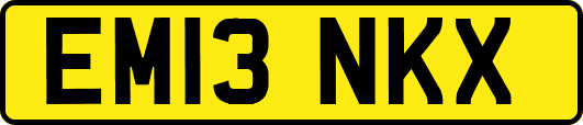 EM13NKX