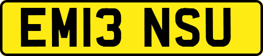 EM13NSU