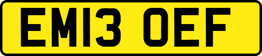 EM13OEF