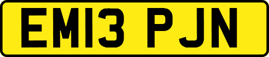 EM13PJN