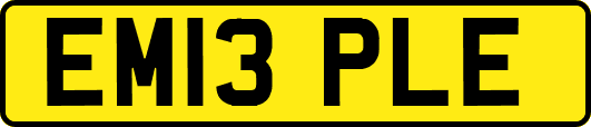 EM13PLE