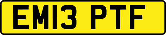 EM13PTF