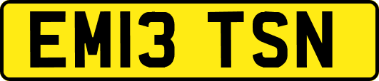EM13TSN