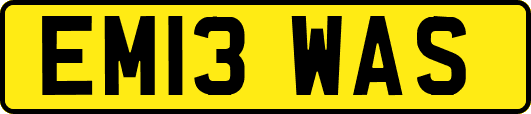 EM13WAS