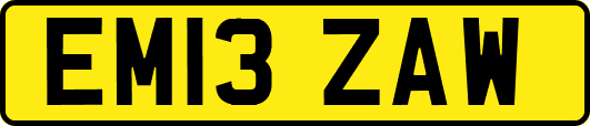 EM13ZAW