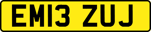 EM13ZUJ