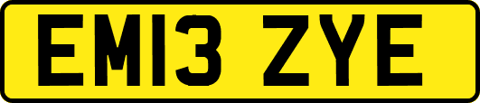EM13ZYE