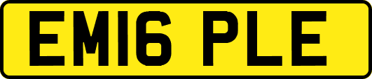 EM16PLE