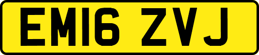 EM16ZVJ