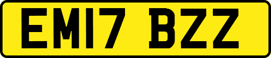 EM17BZZ