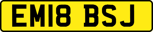 EM18BSJ