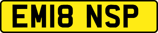 EM18NSP