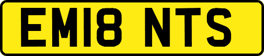 EM18NTS
