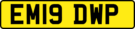 EM19DWP