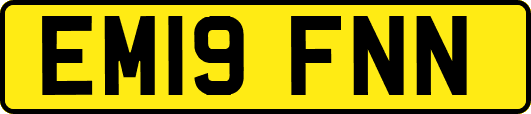 EM19FNN