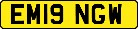 EM19NGW