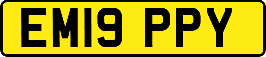 EM19PPY