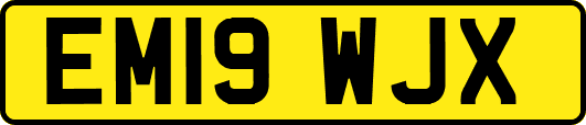 EM19WJX