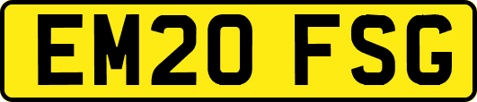 EM20FSG