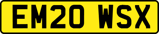 EM20WSX