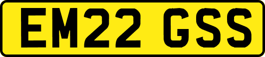EM22GSS