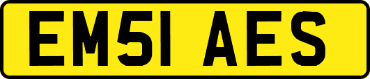 EM51AES