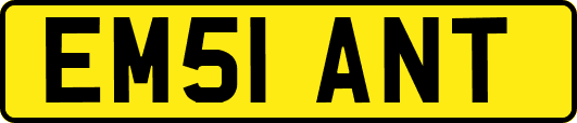 EM51ANT