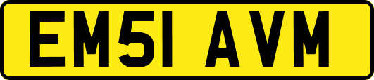 EM51AVM