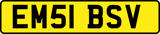 EM51BSV