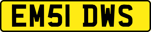 EM51DWS