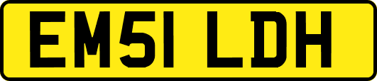 EM51LDH