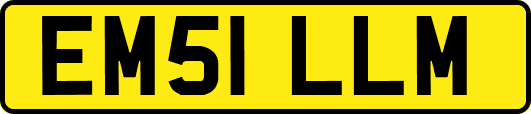 EM51LLM