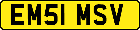 EM51MSV