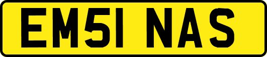 EM51NAS