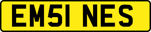 EM51NES