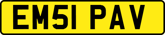 EM51PAV