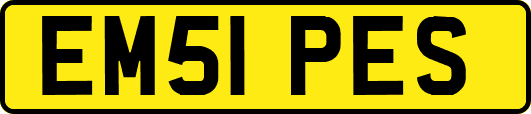 EM51PES