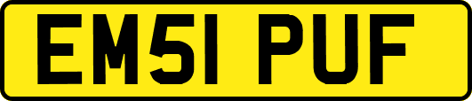 EM51PUF