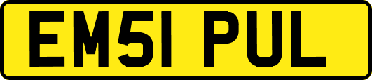EM51PUL