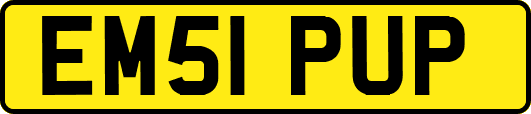 EM51PUP