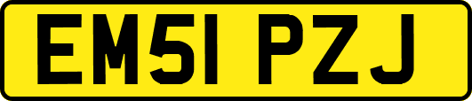 EM51PZJ