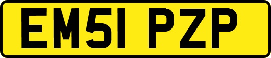 EM51PZP