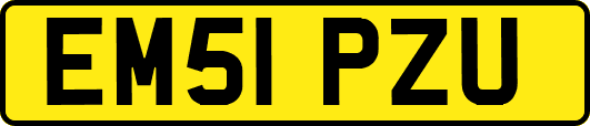 EM51PZU