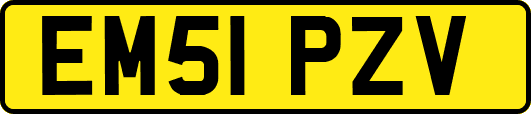 EM51PZV