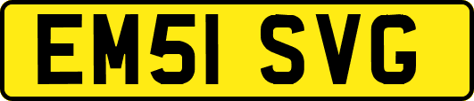 EM51SVG