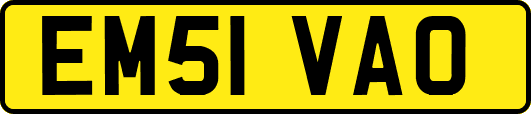 EM51VAO