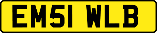 EM51WLB